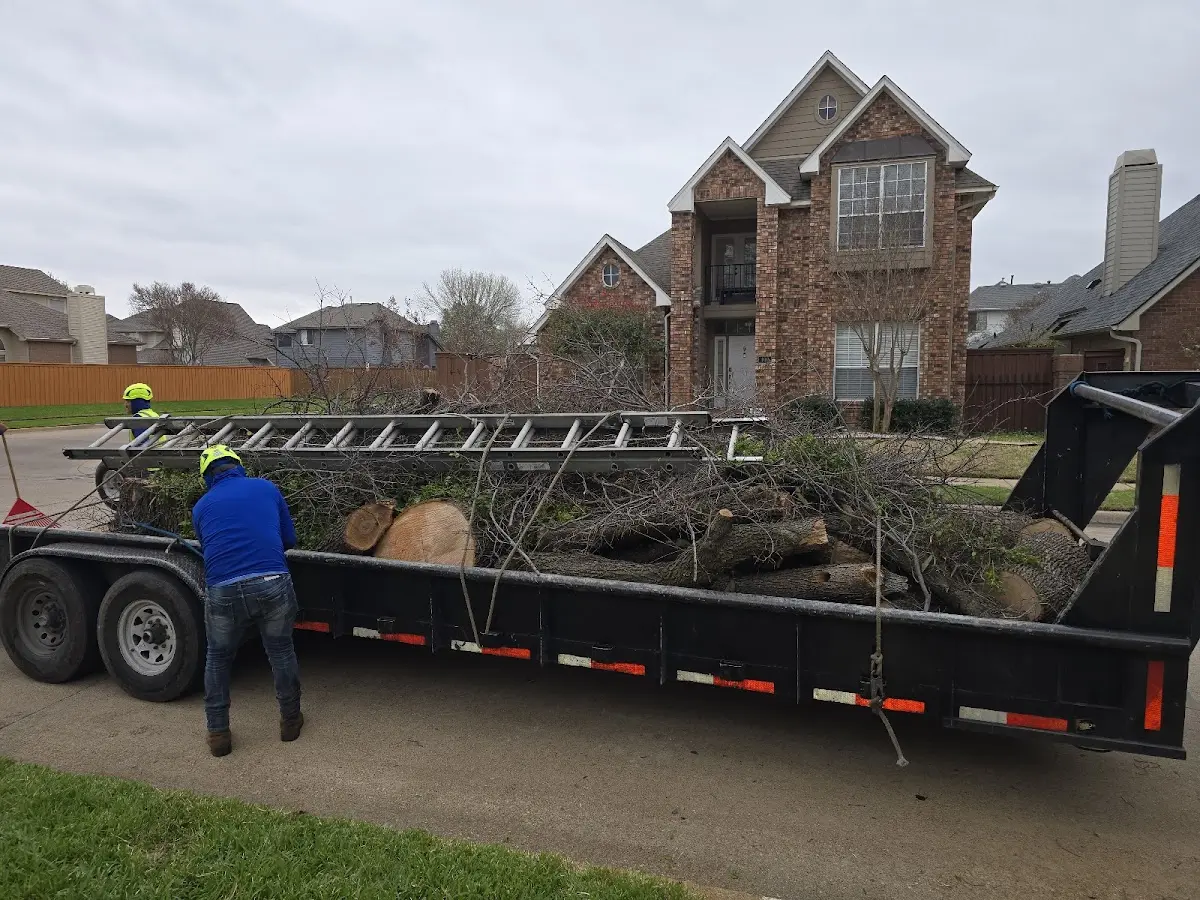 Expert Tree Fertilization with proper safety equipment in Mesopotamia